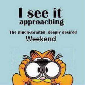 74391-the-weekends-approachig